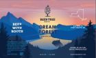 Beer Tree Dream Forest / 4-pack cans
