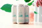 42 North Brewing Company - West Gose East / 4-pack of 16 oz. cans