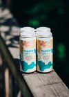 Zero Gravity Frankie / 4-pack of 16 oz. cans