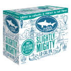 Dogfish Head Slightly Mighty / 12-pack of 12 oz. cans
