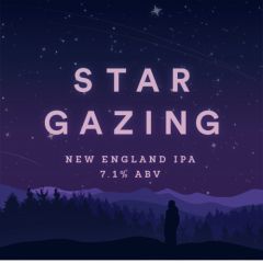 Beer Tree Star Gazing / 4-pack of 16 oz. cans